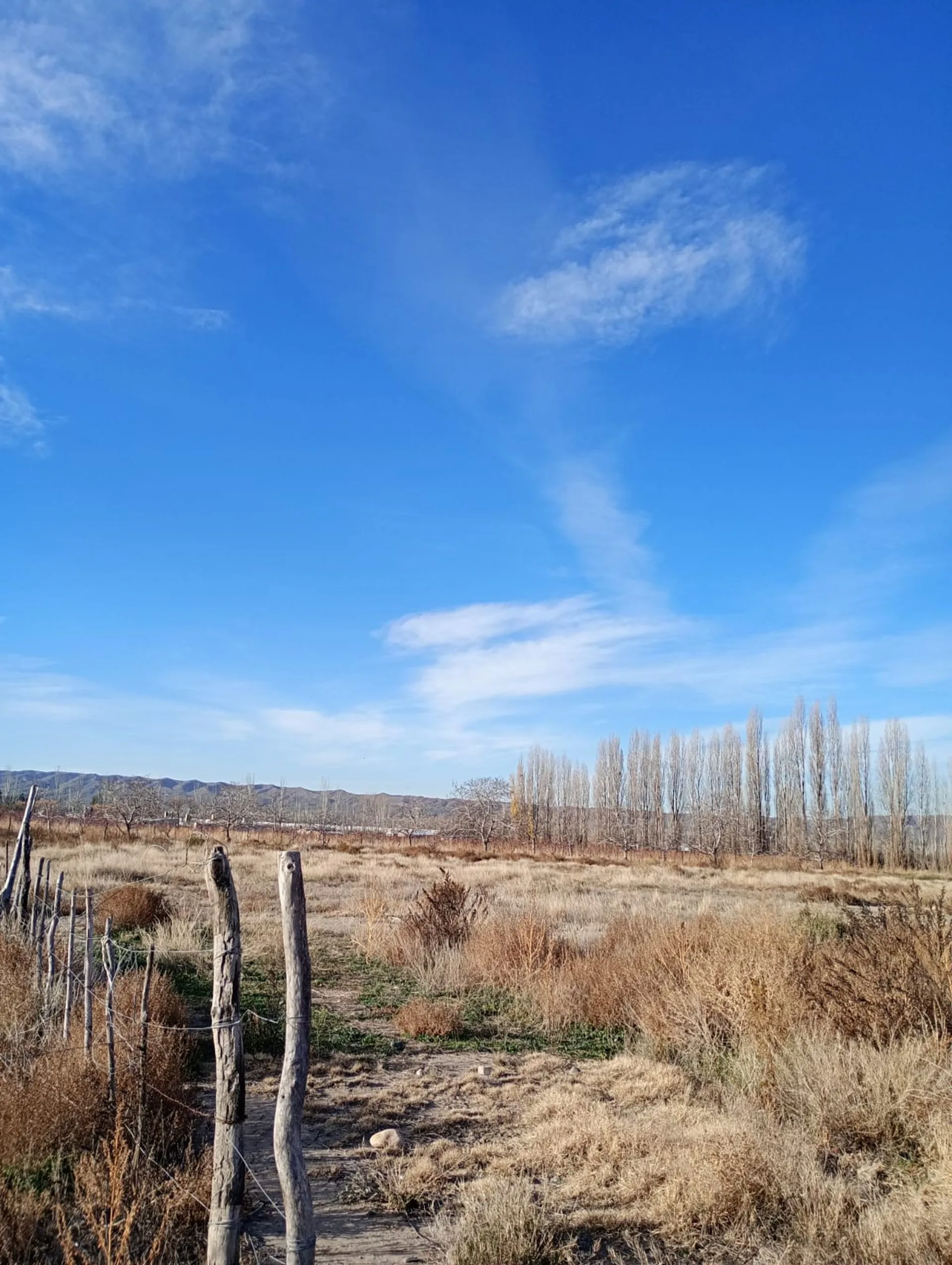 Terreno para Galpon de Empaque y Frutas con Frio foto 4