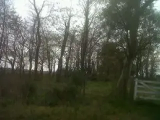 Campo de 13 has en Lobos foto 1
