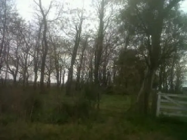 Campo de 13 has en Lobos