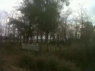 Campo de 13 has en Lobos foto 2