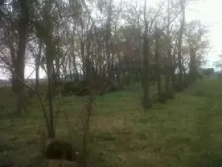 Campo de 13 has en Lobos foto 4