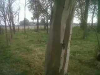 Campo de 13 has en Lobos foto 5