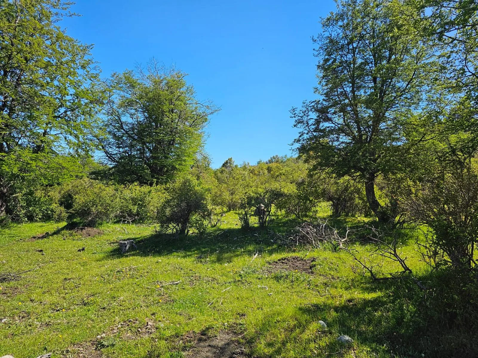 HERMOSO TERRENO EN SECCION LAGO LEZANA -CHOLILA-CHUBUT foto 5