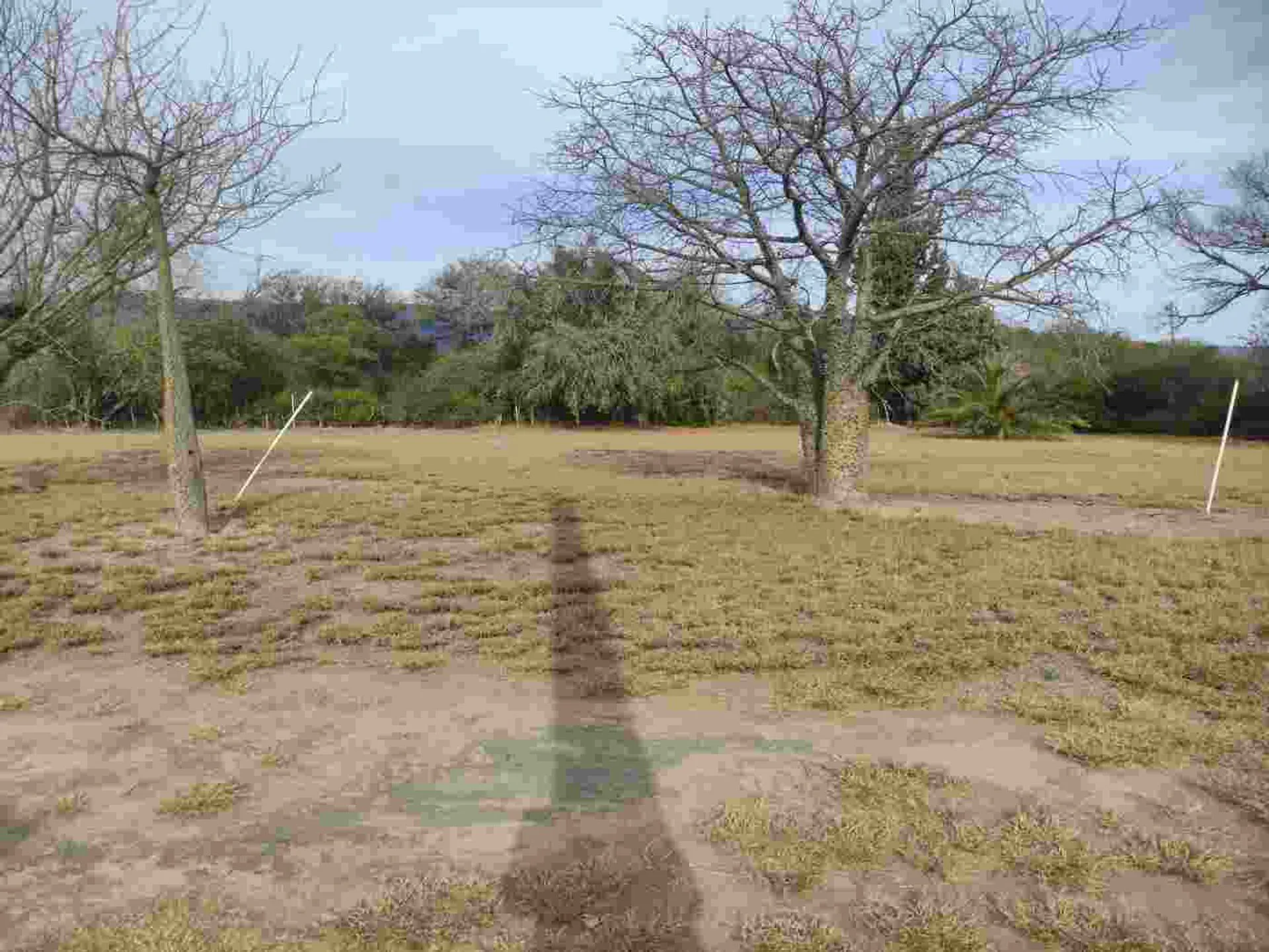 Terreno En Venta Nivelado En Santa Rosa Valle Viej foto 3