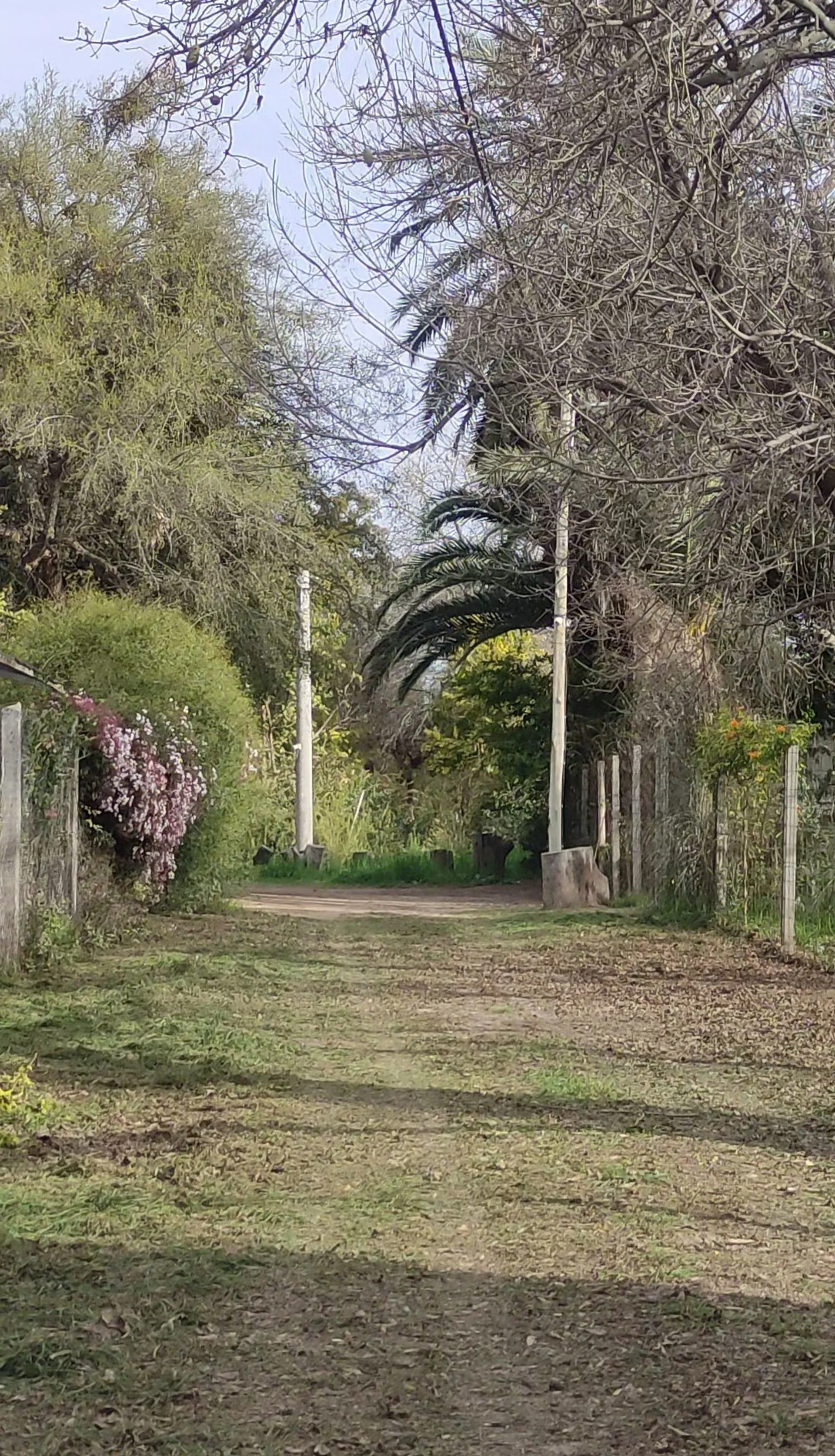 Terreno En Venta Nivelado En Santa Rosa Valle Viej foto 5