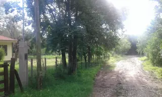 VENTA CASA Y FRACCIÓN DE TIERRA foto 2