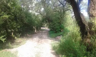 VENTA CASA Y FRACCIÓN DE TIERRA foto 4
