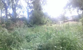 VENTA CASA Y FRACCIÓN DE TIERRA foto 5