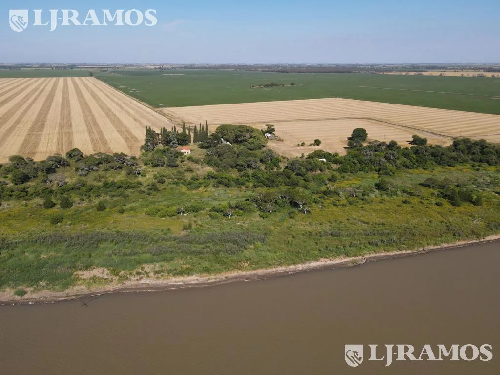 203 ha agrícolas. Timbúes, Santa Fe. Sobre hidrovía. foto 2