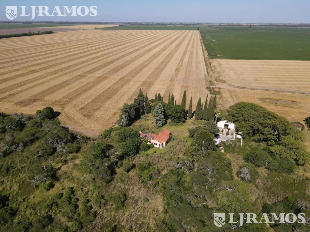 203 ha agrícolas. Timbúes, Santa Fe. Sobre hidrovía. foto 3