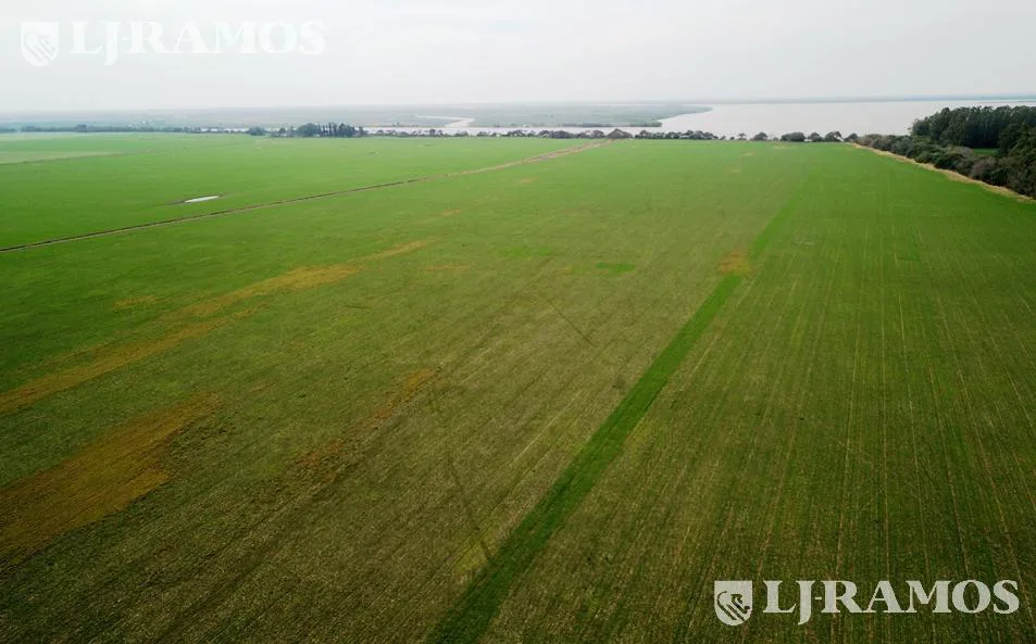 203 ha agrícolas. Timbúes, Santa Fe. Sobre hidrovía. foto 4