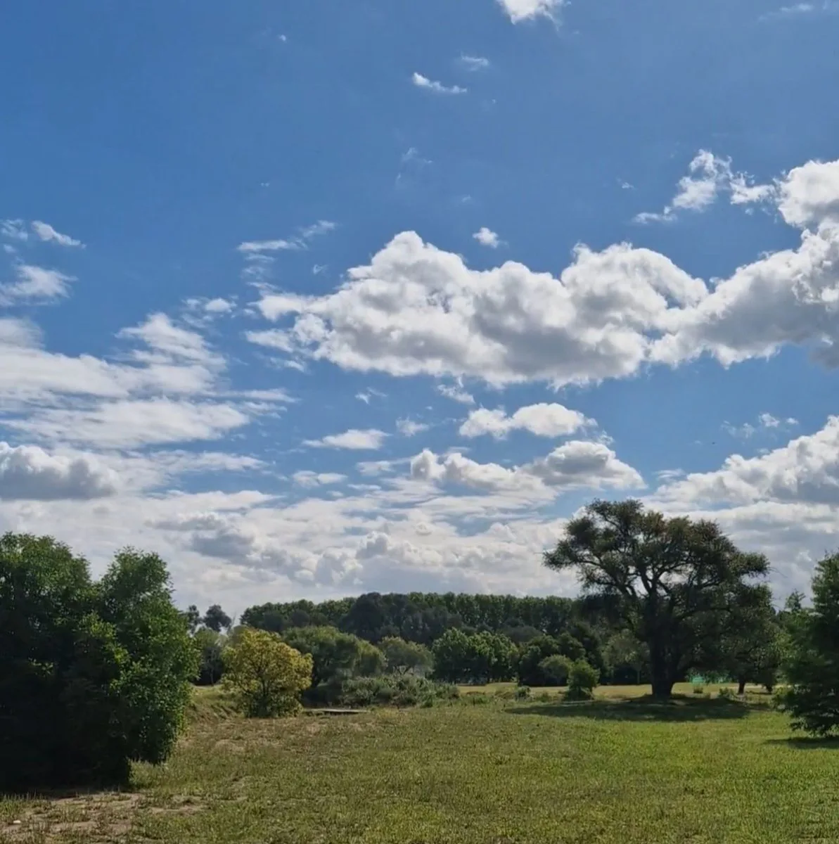 LOTE EN VENTA EN MEDAL C.C. - AL GOLF foto 2