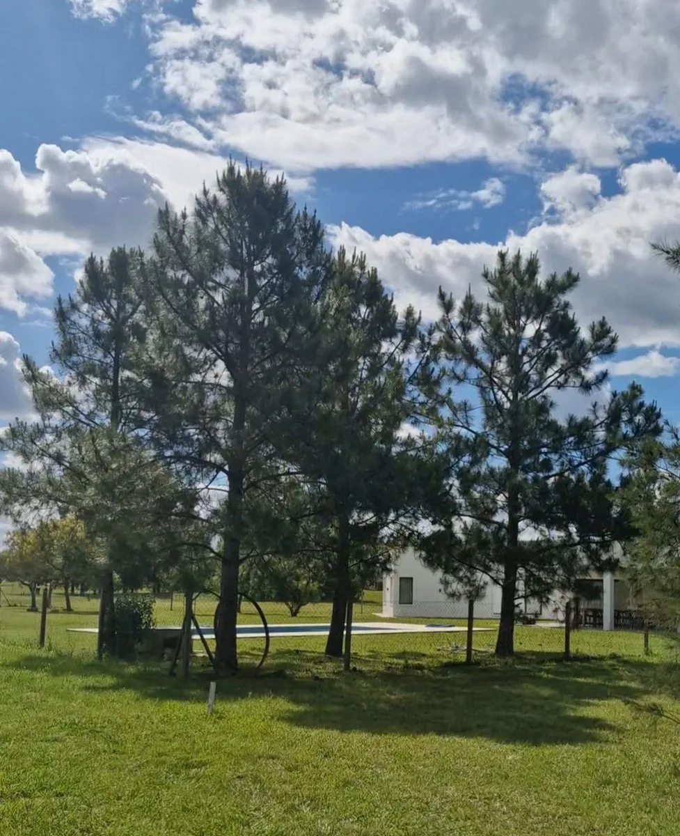 LOTE EN VENTA EN MEDAL C.C. - AL GOLF foto 3
