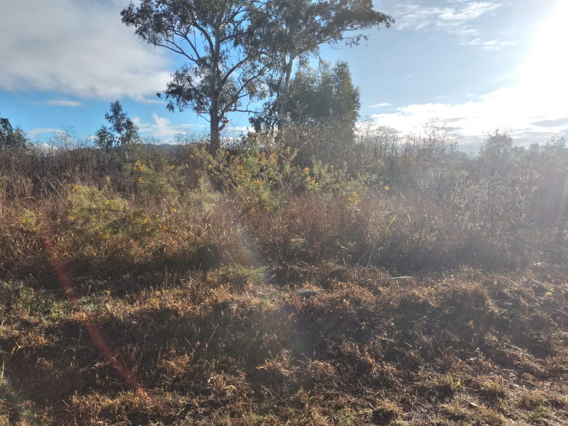 Venta lote 477,78 m2 La Silleta La Arbolada foto 4