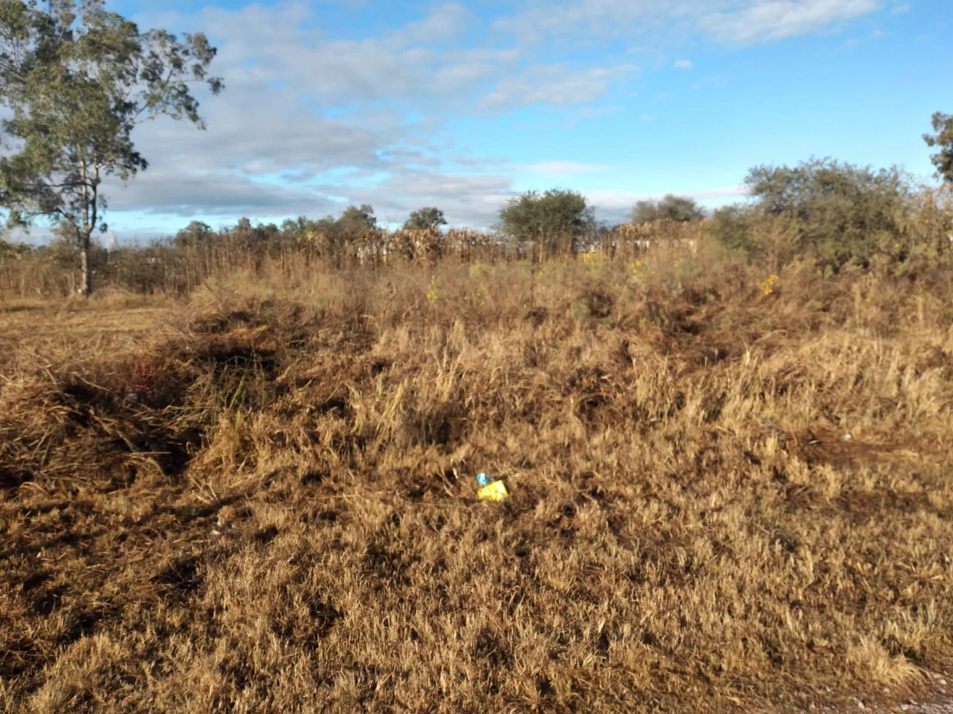 Venta lote 477,78 m2 La Silleta La Arbolada foto 5