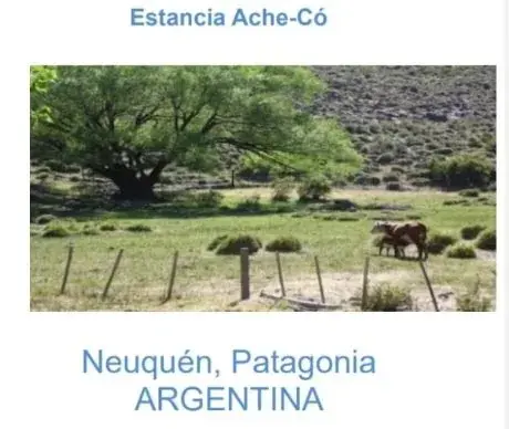 Estancia 22300 has. PIEDRA DEL AGUILA. Departamento de COLLON CURA. Provincia de Neuquén u$s 600 x Ha