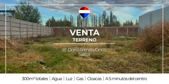 VENTA TERRENO CINCO SALTOS