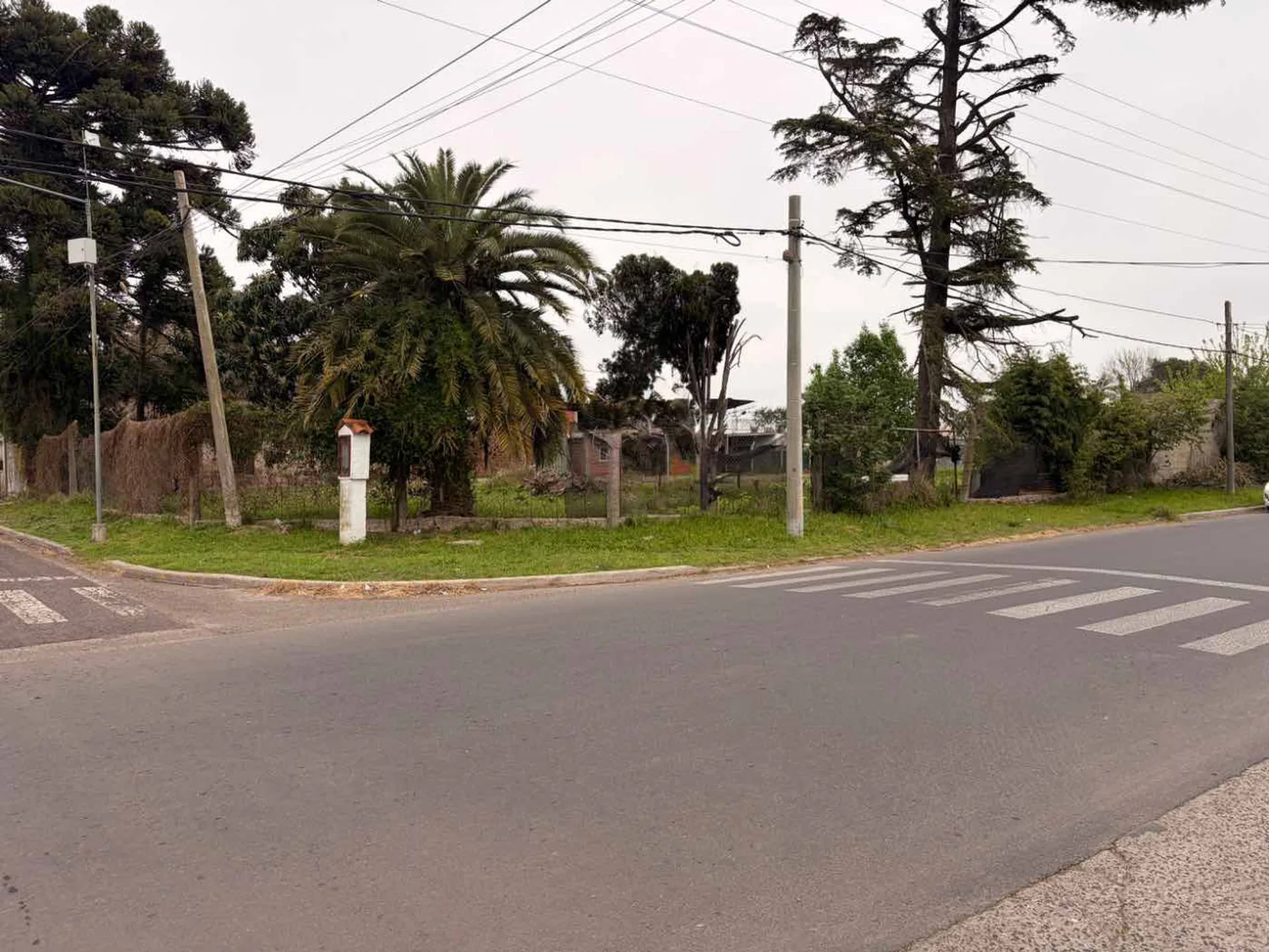 VENTA TERRENO 310 M2 SAN NICOLAS foto 4