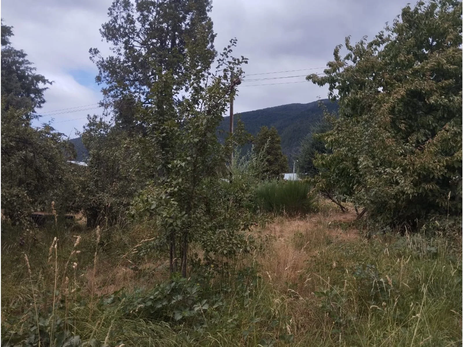 LAGO PUELO (Isla Norte) Terreno 550 m2 foto 4