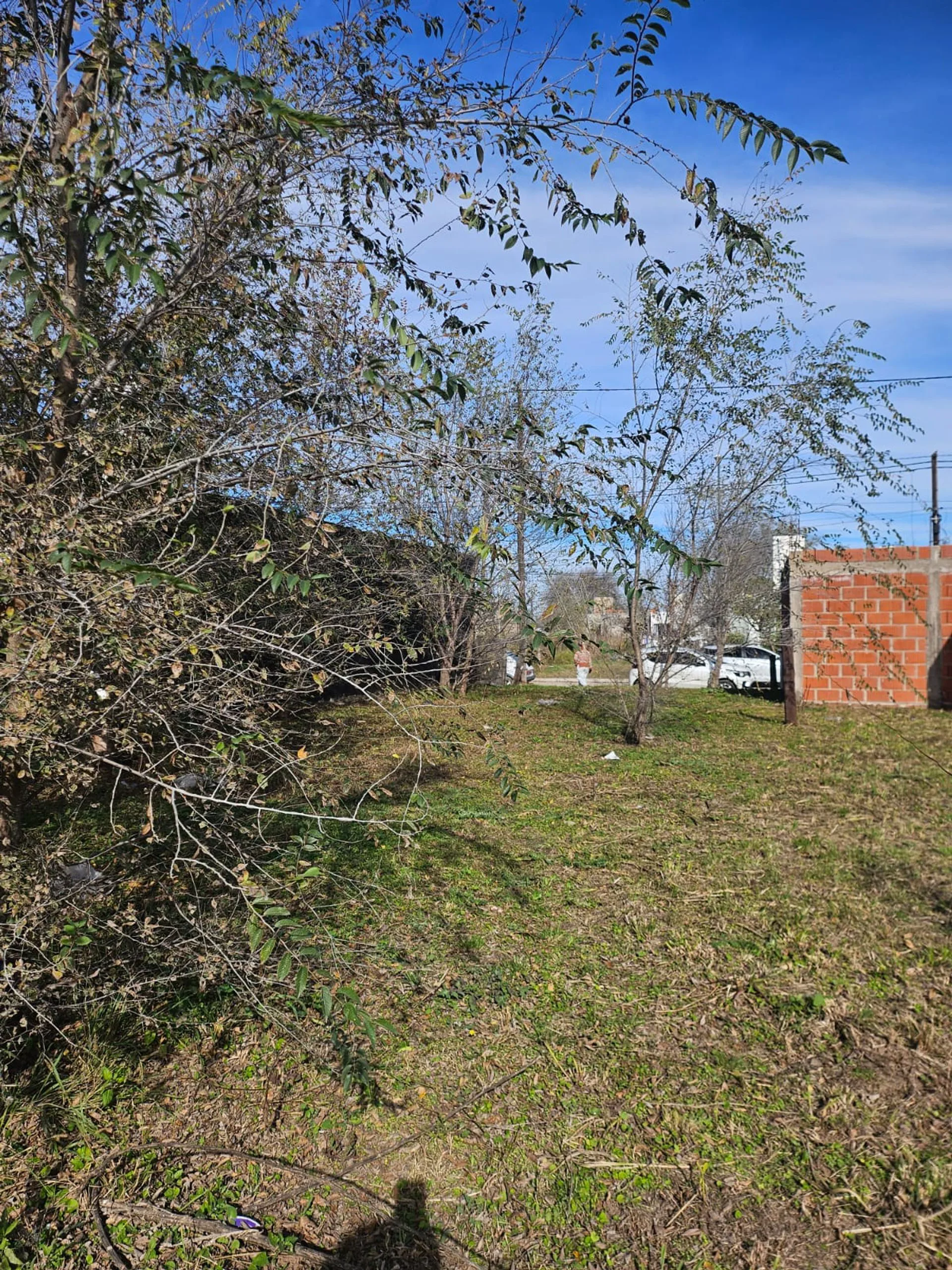 SE VENDE LOTE ARGUELLO NORTE LOTENGO APTO DUPLEX foto 3