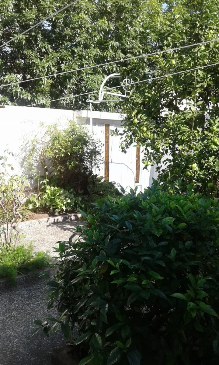 Casa lote propio de 3 ambientes con jardin y cochera al frente en villa lugano foto 4