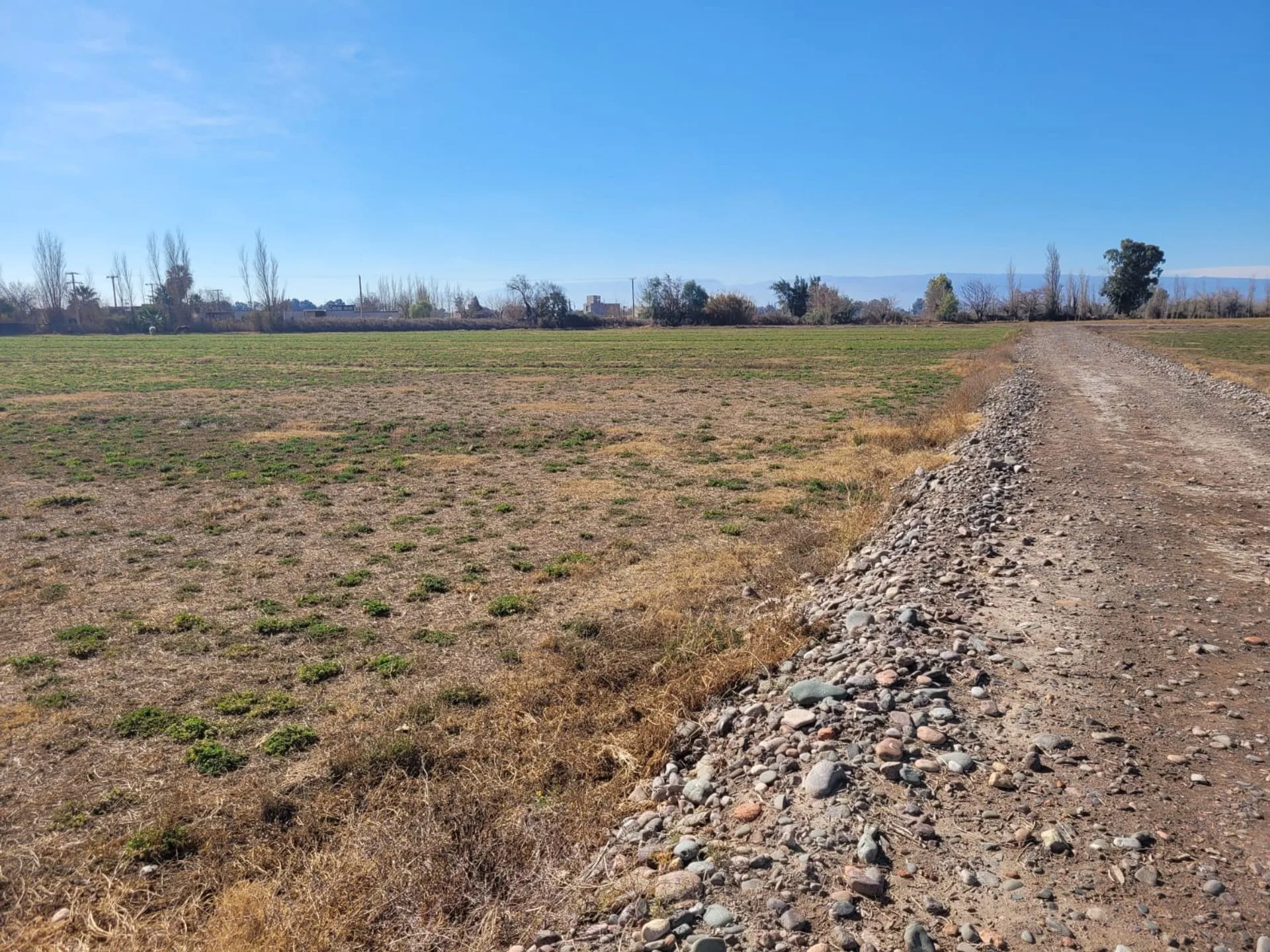 TERRENO DE 16 HECTAREAS. RAWSON foto 5