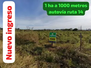 VENTA HECTAREA COLONIA NUEVA AL NORTE foto 1