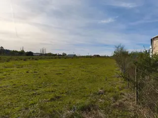 VENTA HECTAREA COLONIA NUEVA AL NORTE foto 2