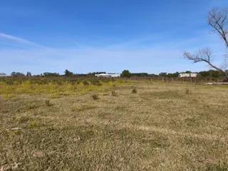 VENTA HECTAREA COLONIA NUEVA AL NORTE foto 3