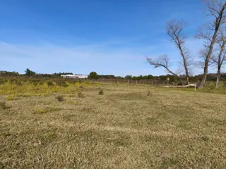 VENTA HECTAREA COLONIA NUEVA AL NORTE foto 4
