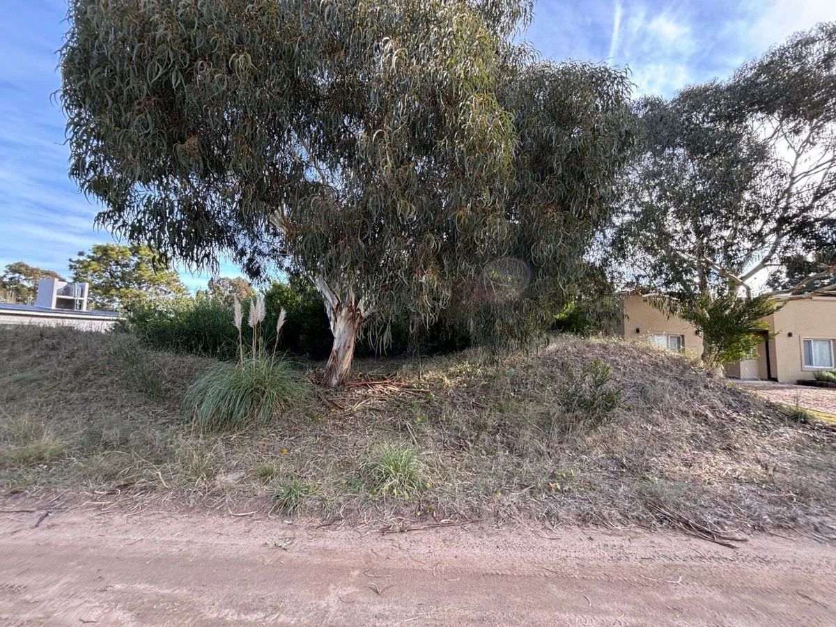 Venta lote Costa Esmeralda Ecuestre 246 foto 3