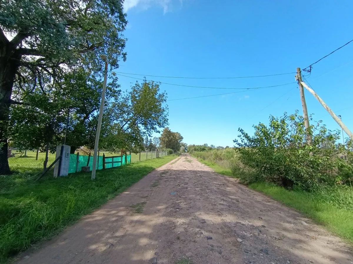 LOTE EN VENTA - C/ ESCRITURA - VIRREY DEL PINO foto 2