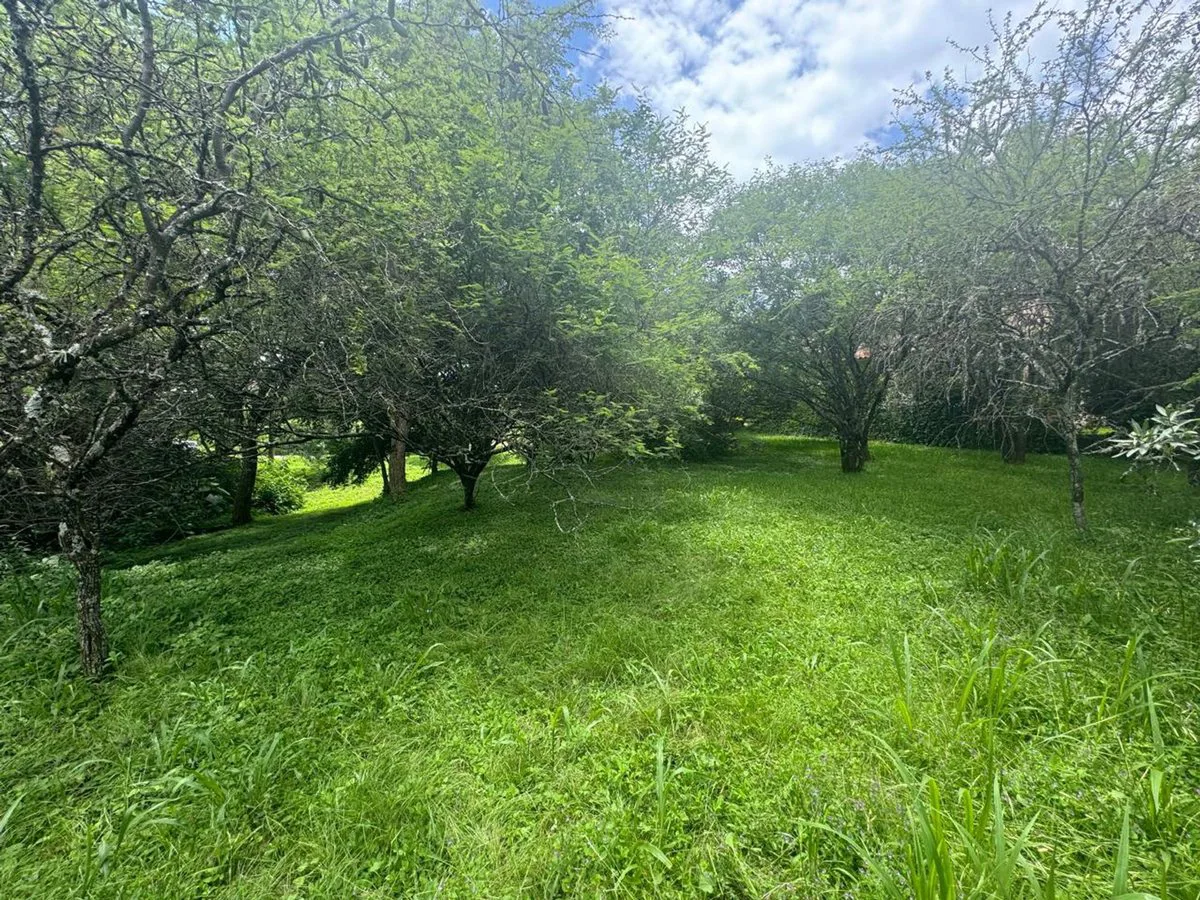 VENTA TERRENO 956,86 M2 - B° ALTO LA VIÑA foto 3