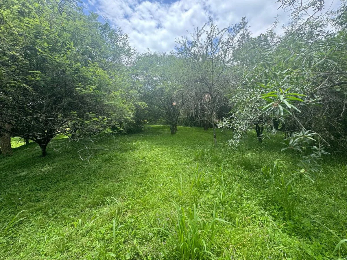 VENTA TERRENO 956,86 M2 - B° ALTO LA VIÑA foto 4