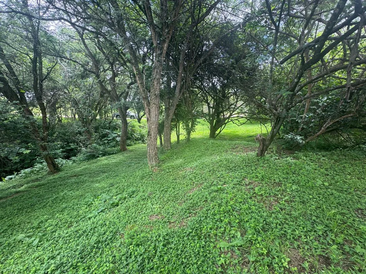 VENTA TERRENO 956,86 M2 - B° ALTO LA VIÑA foto 5