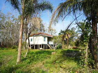 Isla en Venta en Tigre, Buenos Aires foto 2