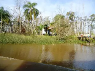 Isla en Venta en Tigre, Buenos Aires foto 5