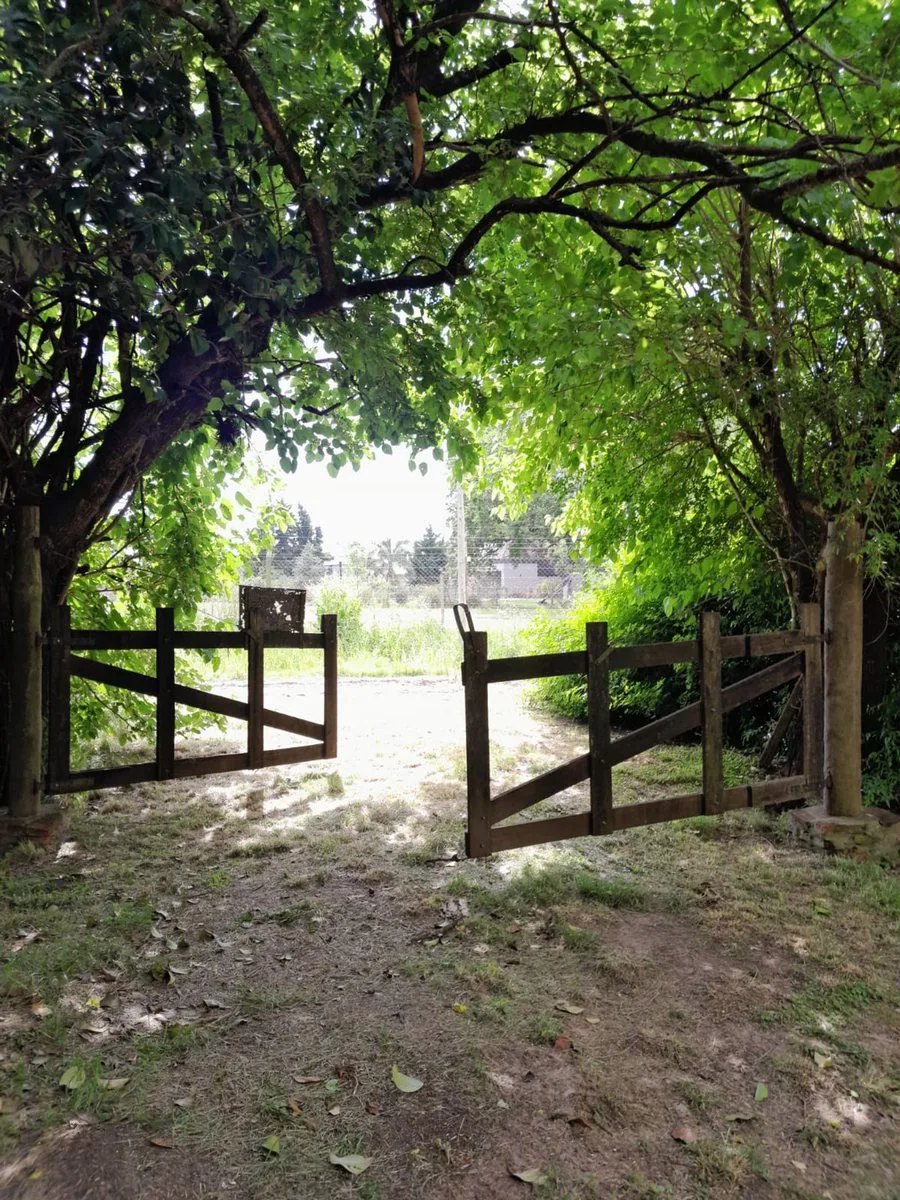 CAMPO 2,04HA-PECÁN EN PRODUCCIÓN-ZELAYA foto 2