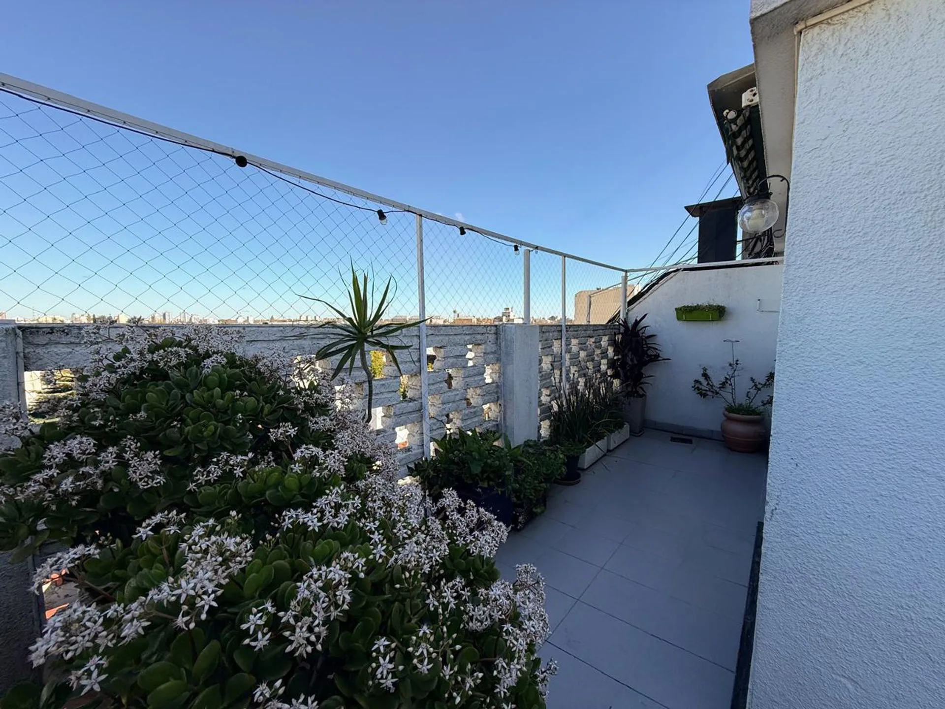 VENTA DPTO  3 AMB C/DEPENDENCIA - MONTE CASTRO foto 5