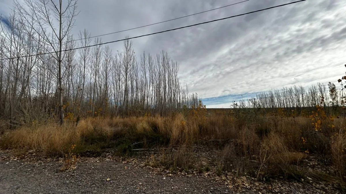 SEIS LOTES EN VENTA, LA FORESTADA, AÑELO, NEUQUEN foto 2