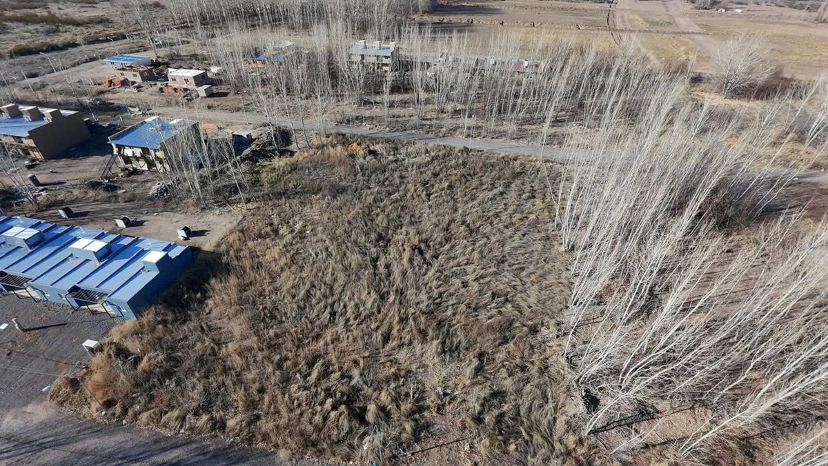 SEIS LOTES EN VENTA, LA FORESTADA, AÑELO, NEUQUEN foto 3