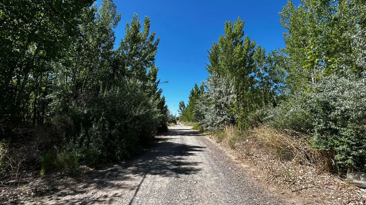 SEIS LOTES EN VENTA, LA FORESTADA, AÑELO, NEUQUEN foto 4