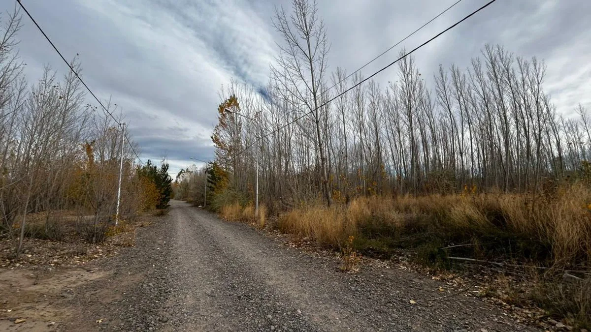 SEIS LOTES EN VENTA, LA FORESTADA, AÑELO, NEUQUEN foto 5