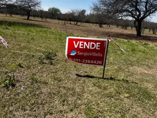 Imponente terreno  en La Carolina  con potencial para housing. foto 2