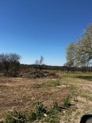 Imponente terreno  en La Carolina  con potencial para housing. foto 4