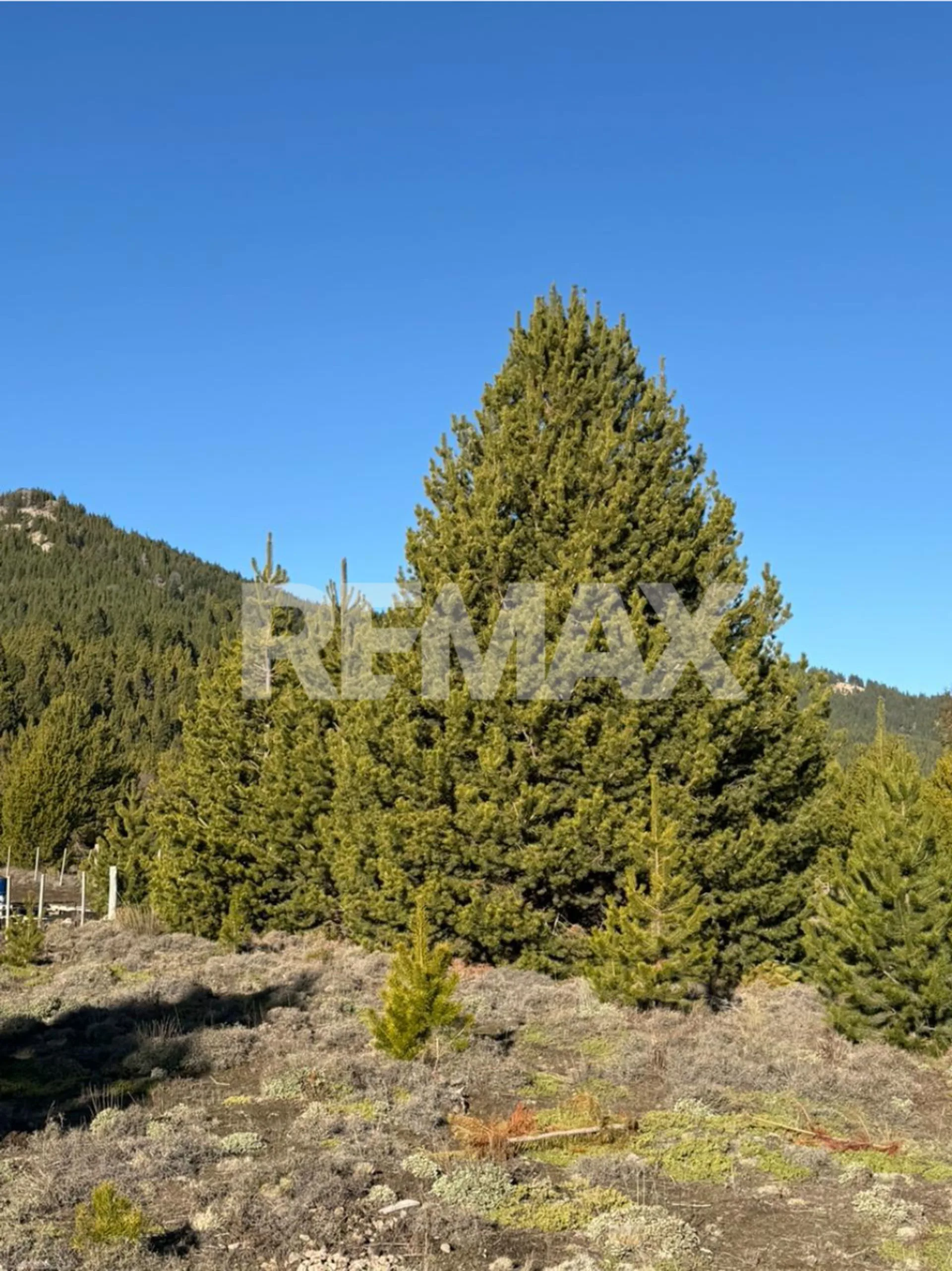 LOTE TERRENO MELIQUINA 1.000 M2 foto 3