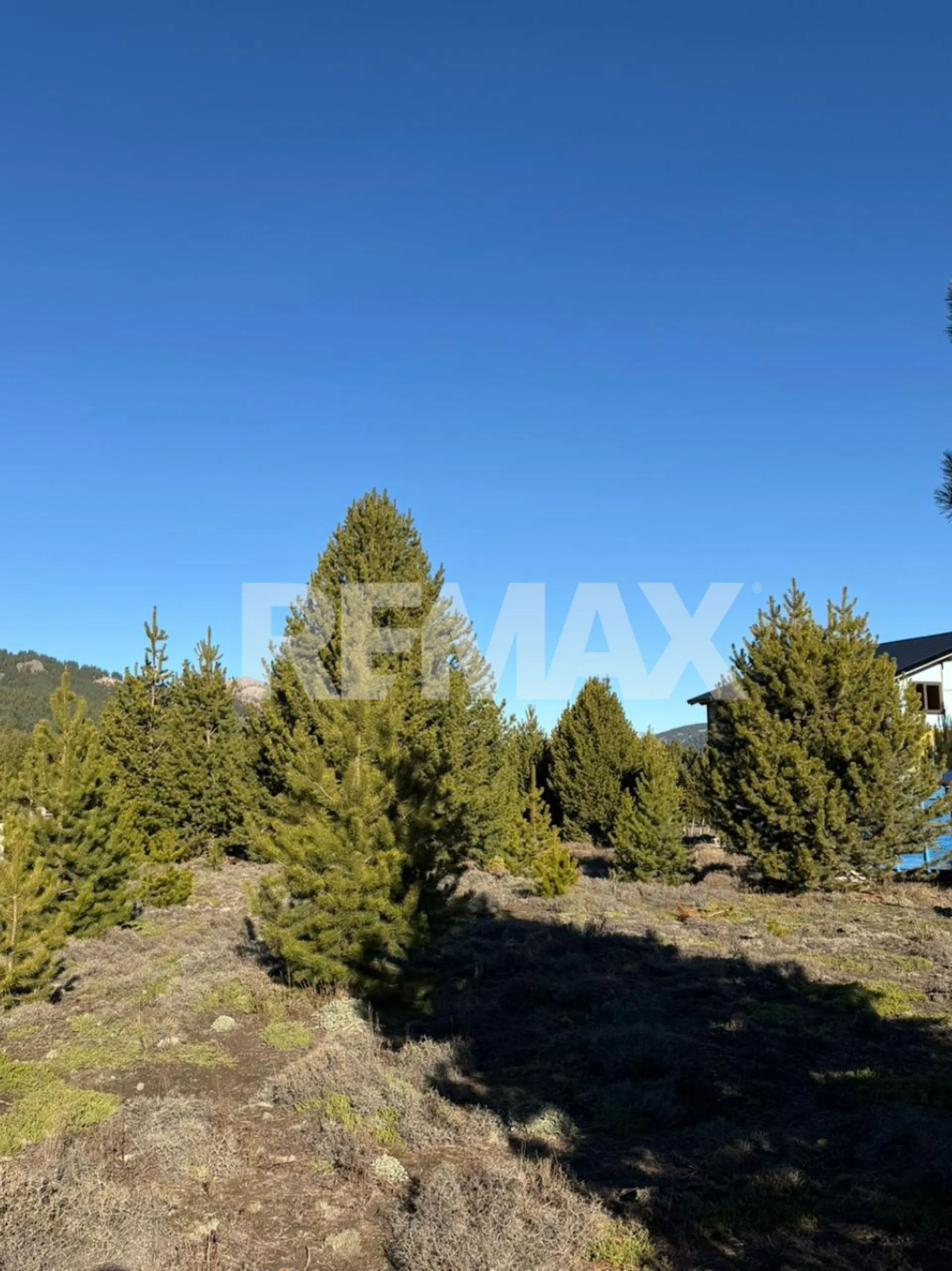 LOTE TERRENO MELIQUINA 1.000 M2 foto 4