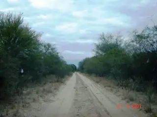 Venta Campo 635 hectáreas – Ruta 79 82000 – El Calden – San Luis foto 3