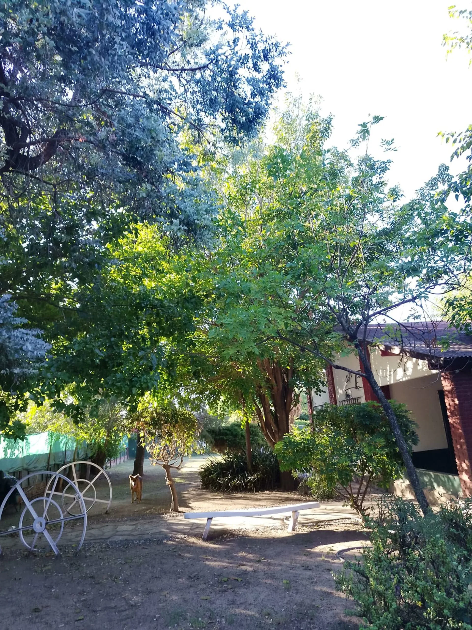 Quinta en Paso del Rey-  5.000 m2 foto 2