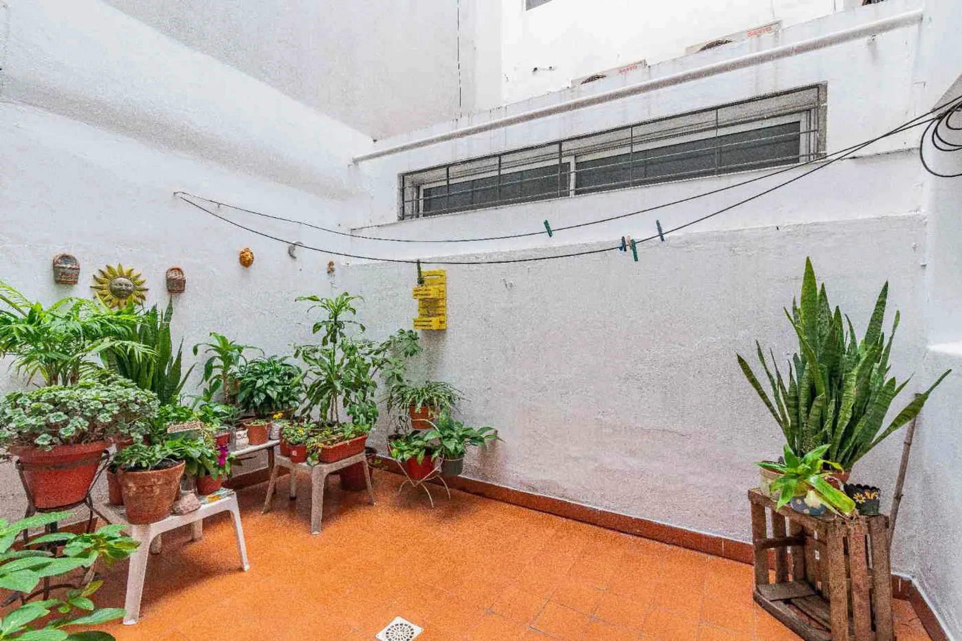Venta  DEPTO 3 amb. 2 patios. Apto prof. P baja foto 3